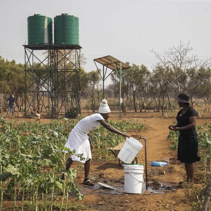Food aid interventions can curb climate change-induced hardship. But should they do more?